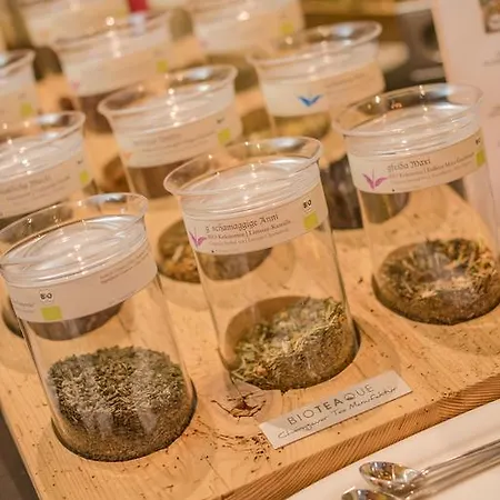 아파트호텔 Almschloessl & Schrotteralm 오베르타우에른